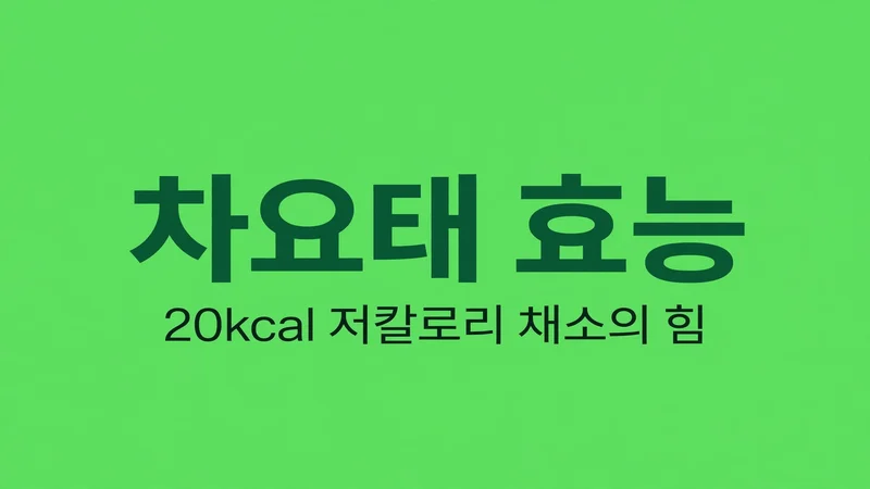 차요태 효능 안내
