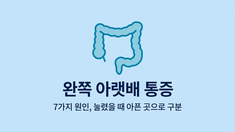왼쪽 아랫배 통증 대표 이미지