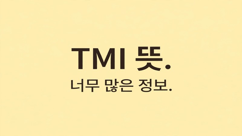 TMI 뜻 너무 많은 정보