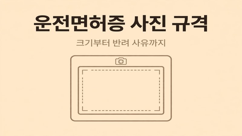 운전면허증 사진 규격 안내