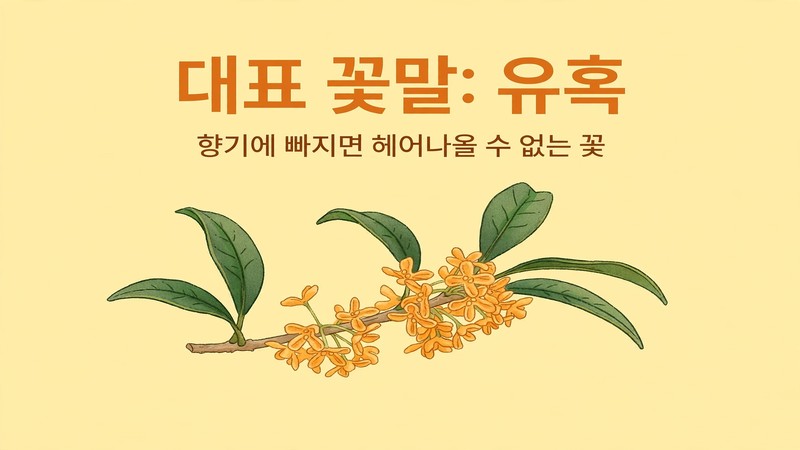 금목서 꽃말 대표 이미지