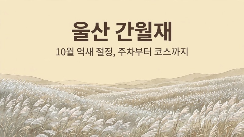 울산 간월재 가을 억새 여행 안내